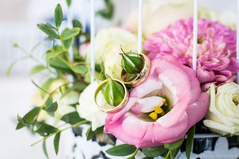 Ad�l �s Zolt�n karikagy�r�vel kapcsolatos visszajelz�se