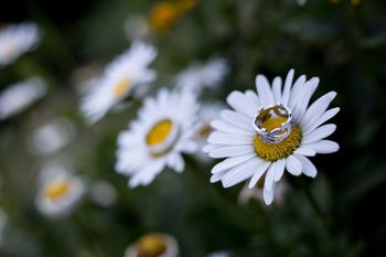 Edit karikagy�r�vel kapcsolatos visszajelz�se