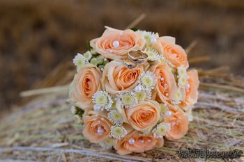 Kata �s Andr�s karikagy�r�vel kapcsolatos visszajelz�se