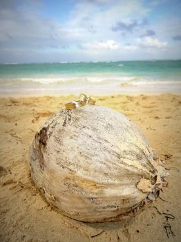 Mariann karikagy�r�vel kapcsolatos visszajelz�se