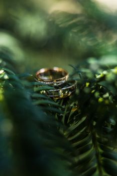 Niki �s G�bor karikagy�r�vel kapcsolatos visszajelz�se