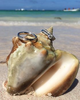 Timi �s Zsolti karikagy�r�vel kapcsolatos visszajelz�se