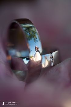 Vivien �s Ferenc karikagy�r�vel kapcsolatos visszajelz�se