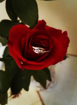 Zsuzsi �s Zsolti eljegyz�si gy�r�vel kapcsolatos visszajelz�se